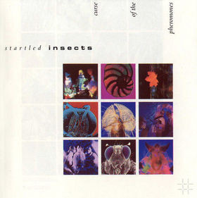 Startled Insects – Curse Of The Pheromones (Vinyl LP Album Stereo, 1987)