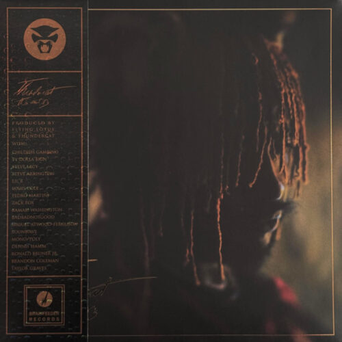 Thundercat – It Is What It Is (Vinyl LP Album Deluxe Edition Stereo, 2020)