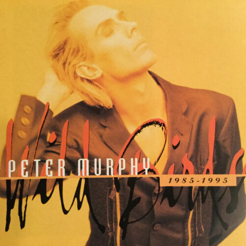 NTEtMTcyNy5qcGVn Peter Murphy – Wild Birds 1985-1995 (CD Compilation, 2000)