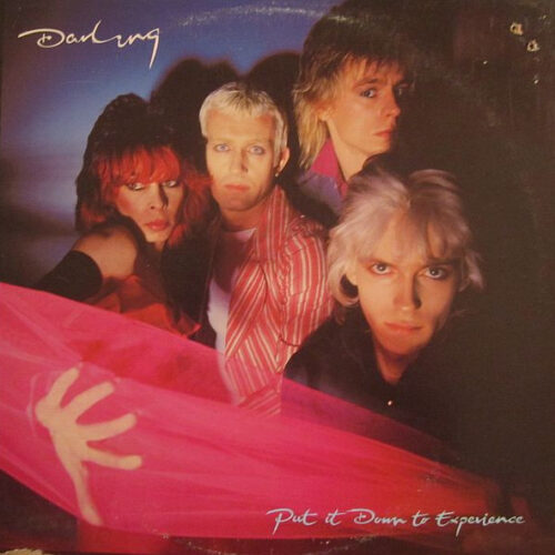 Ny5qcGVn-8 Darling – Put It Down To Experience (Vinyl LP Album, 1979)