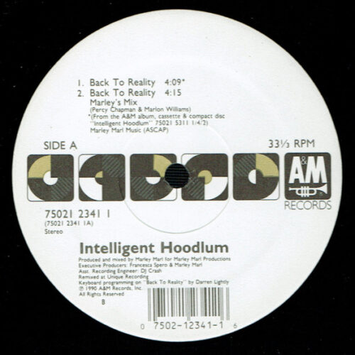 Intelligent Hoodlum – Back To Reality (Vinyl 12" 33 ⅓ RPM Stereo, 1990)