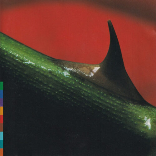 OC0yOTY4LmpwZWc Nusrat Fateh Ali Khan – Night Song (CD Album, 1996)