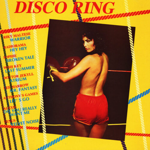 Various – Disco Ring (Vinyl 12" 33 ⅓ RPM Compilation Mixed, 1986)