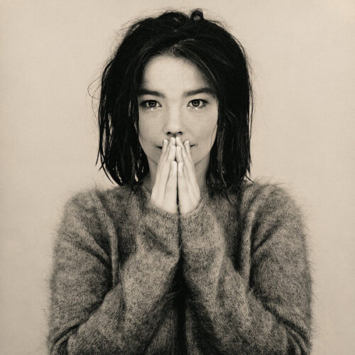 Björk – Debut (Vinyl LP Album, 1993)