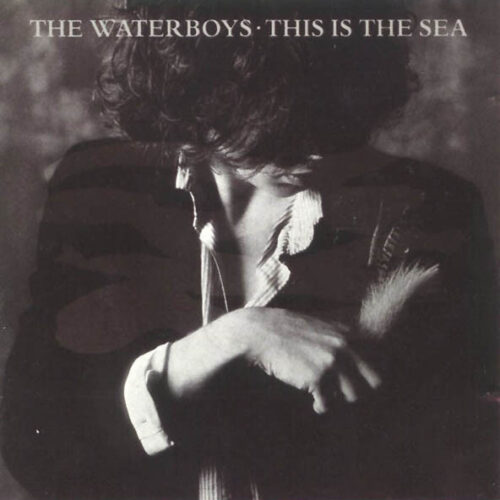The Waterboys – This Is The Sea (Vinyl LP Album Stereo, 1985)