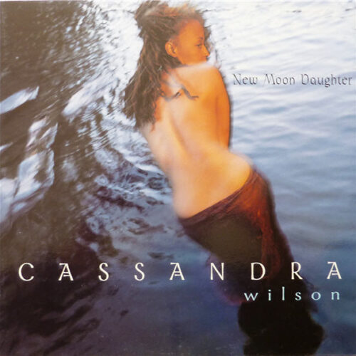 Cassandra Wilson – New Moon Daughter (Vinyl LP Album, 1996)